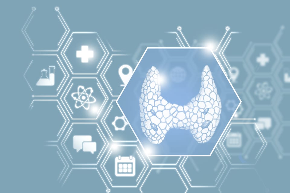 Hormone Analysis